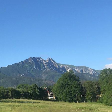 Camping Zakopane Willa Skoczek Oferta Nie Dotyczy Noclegu W Pokoju ,W Namiocie Reczniki Woda Mineralna , Koldra Poduszki Lub Spiwory Exterior photo