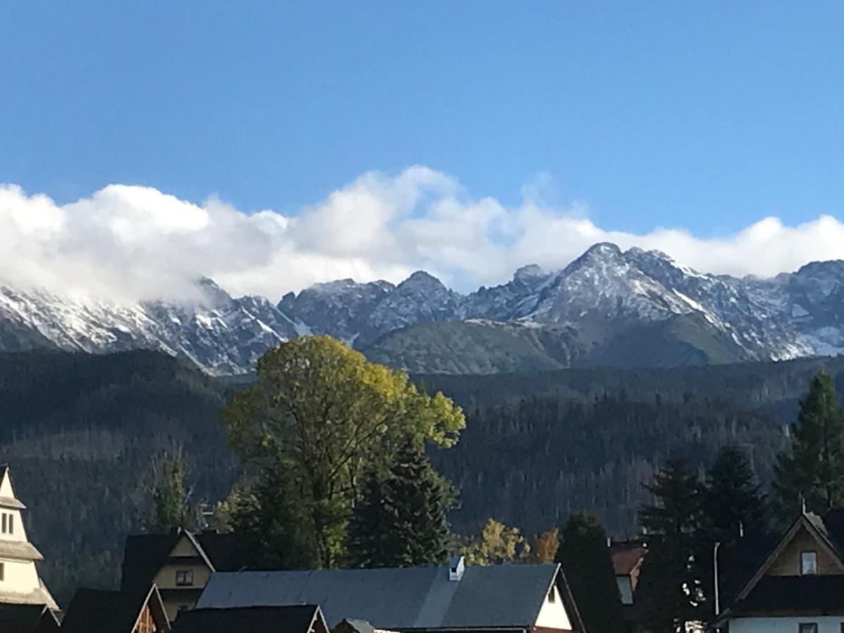 Camping Zakopane Willa Skoczek Oferta Nie Dotyczy Noclegu W Pokoju ,W Namiocie Reczniki Woda Mineralna , Koldra Poduszki Lub Spiwory Exterior photo