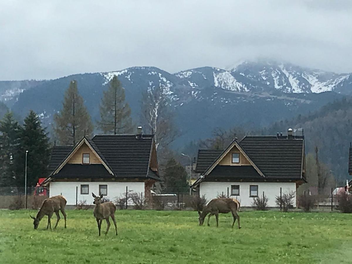 Camping Zakopane Willa Skoczek Oferta Nie Dotyczy Noclegu W Pokoju ,W Namiocie Reczniki Woda Mineralna , Koldra Poduszki Lub Spiwory Exterior photo