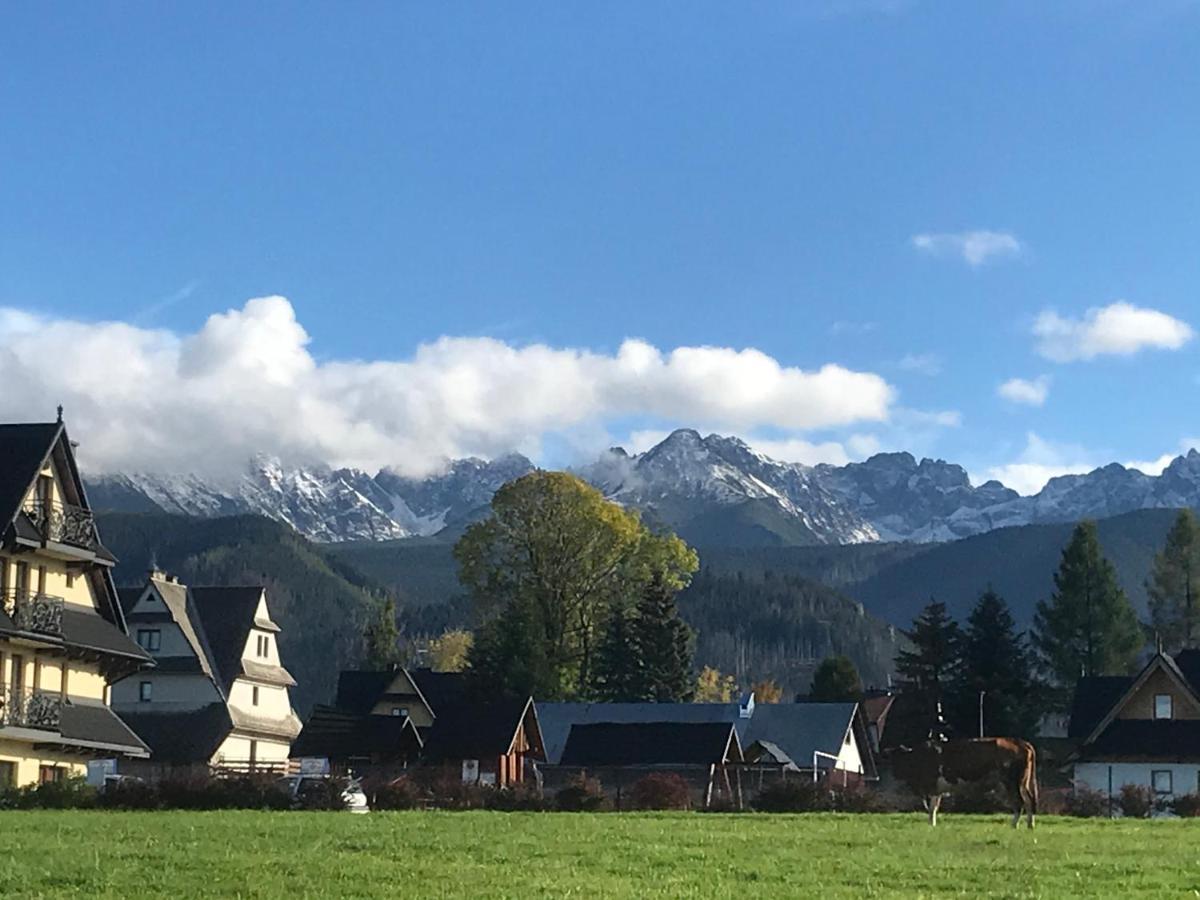 Camping Zakopane Willa Skoczek Oferta Nie Dotyczy Noclegu W Pokoju ,W Namiocie Reczniki Woda Mineralna , Koldra Poduszki Lub Spiwory Exterior photo