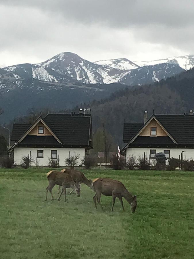 Camping Zakopane Willa Skoczek Oferta Nie Dotyczy Noclegu W Pokoju ,W Namiocie Reczniki Woda Mineralna , Koldra Poduszki Lub Spiwory Exterior photo
