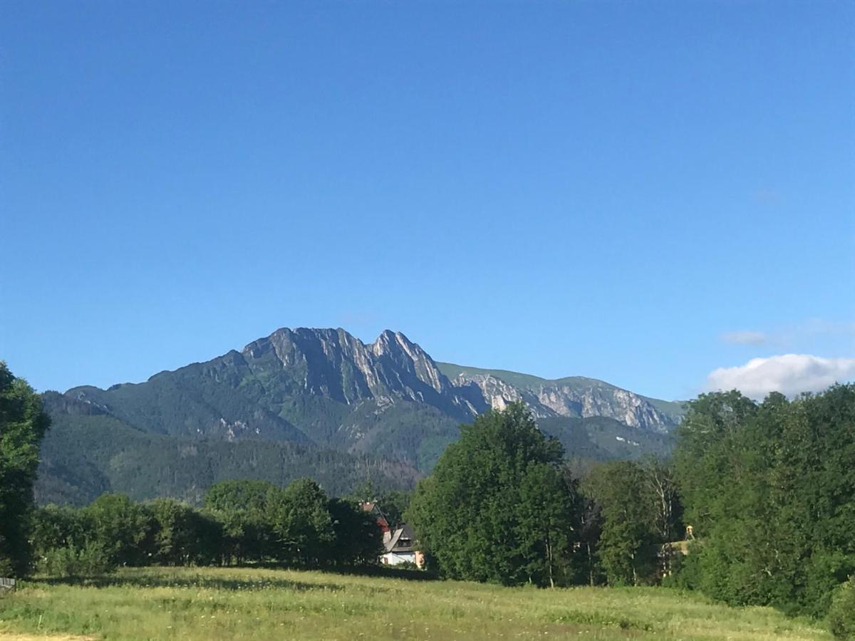 Camping Zakopane Willa Skoczek Oferta Nie Dotyczy Noclegu W Pokoju ,W Namiocie Reczniki Woda Mineralna , Koldra Poduszki Lub Spiwory Exterior photo