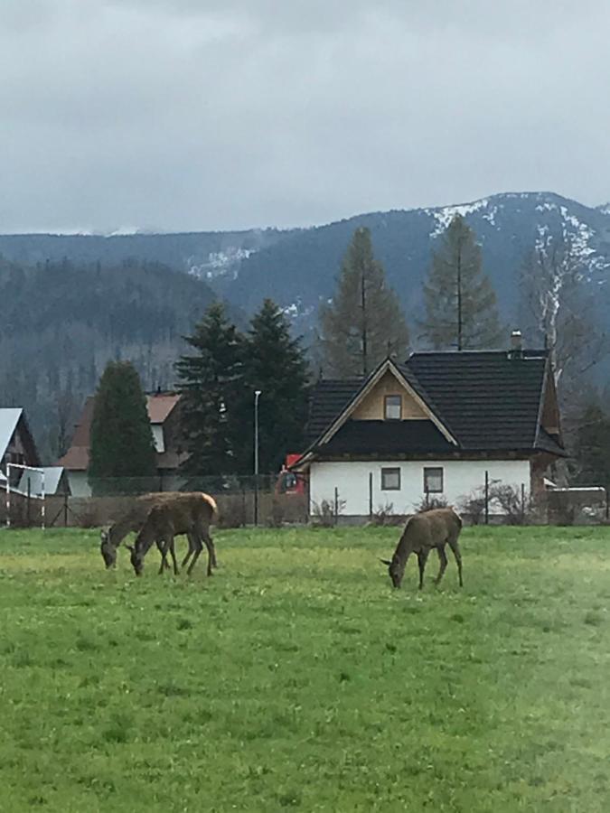 Camping Zakopane Willa Skoczek Oferta Nie Dotyczy Noclegu W Pokoju ,W Namiocie Reczniki Woda Mineralna , Koldra Poduszki Lub Spiwory Exterior photo