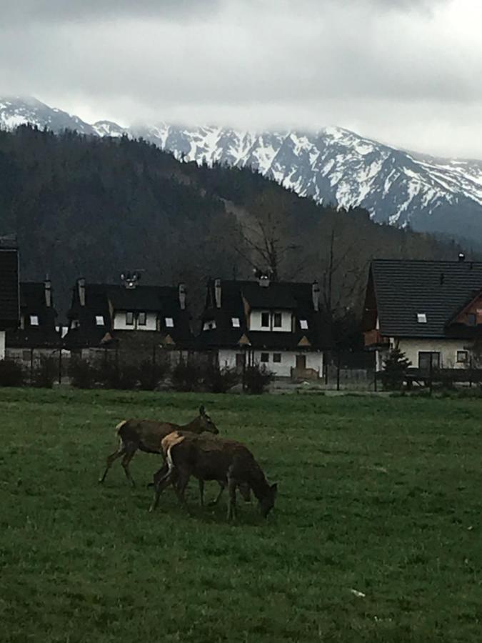 Camping Zakopane Willa Skoczek Oferta Nie Dotyczy Noclegu W Pokoju ,W Namiocie Reczniki Woda Mineralna , Koldra Poduszki Lub Spiwory Exterior photo